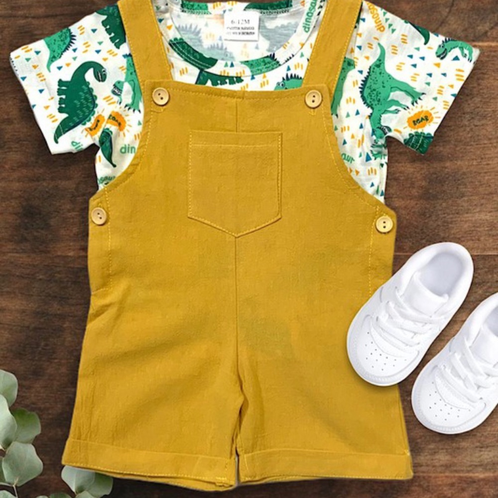 Baby boys 2 piece dinosaur set